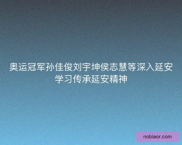 奥运冠军孙佳俊刘宇坤侯志慧等深入延安学习传承延安精神
