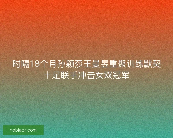 时隔18个月孙颖莎王曼昱重聚训练默契十足联手冲击女双冠军