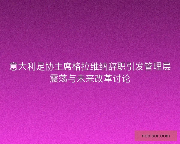 意大利足协主席格拉维纳辞职引发管理层震荡与未来改革讨论 意大利足协主席格拉维纳辞职引发管理层震荡与未来改革讨论