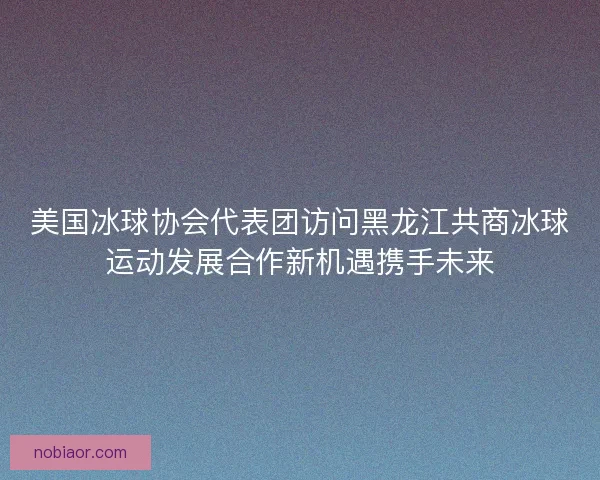 美国冰球协会代表团访问黑龙江共商冰球运动发展合作新机遇携手未来