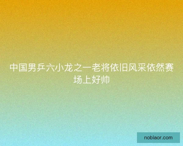 中国男乒六小龙之一老将依旧风采依然赛场上好帅